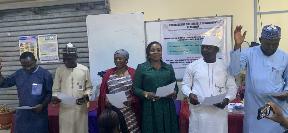 CSDN President Urges Intensified Efforts to Meet SDGs
