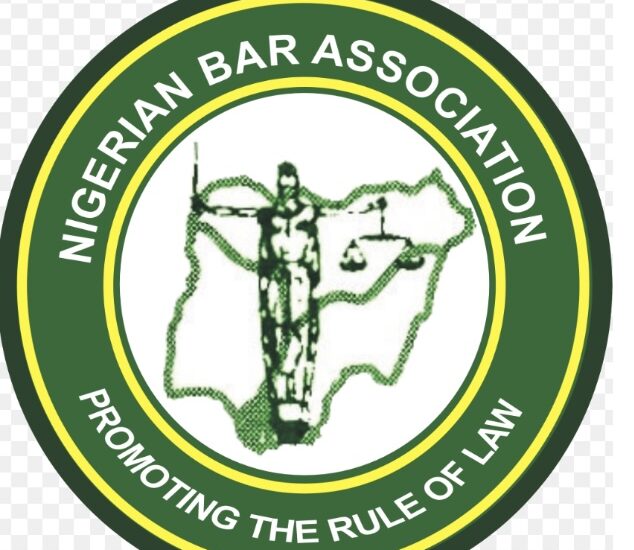 Flawless Execution: Redcarpet Protocol Elevates NBA Conference in Enugu