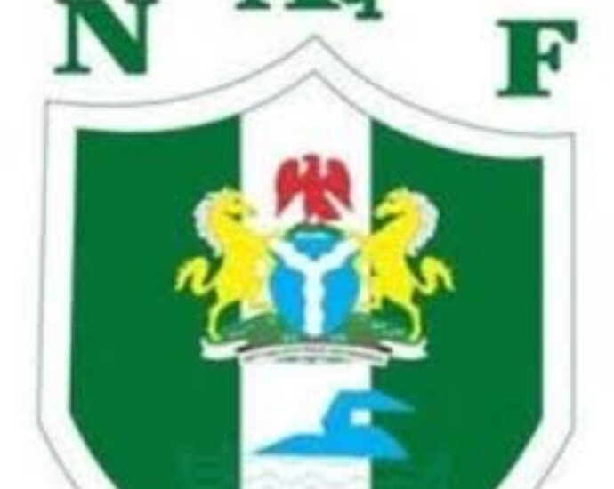 Nigeria Aquatics Federation Names Committees for 2025–2029 Board Cycle